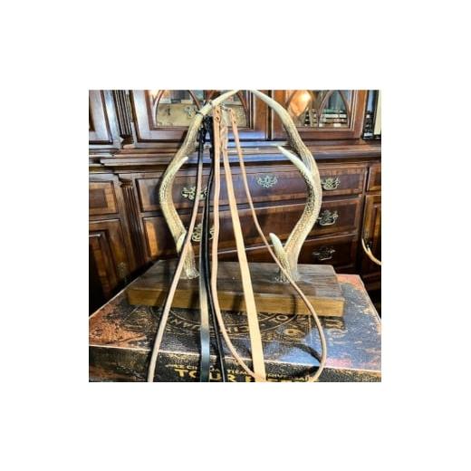 ふるさと納税 ファッション 神奈川県 寒川町 13mm幅 本革 高級 ベンズ の ショルダーリード 犬 黒 カラー:黒