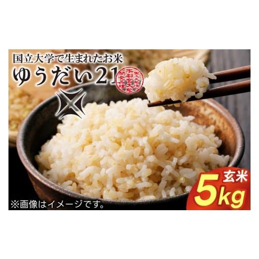ふるさと納税 玄米 栃木県 益子町 TVでも話題のお米 ゆうだい21 ＼令和7年産/ 数量限定 あい farm やなぎのお米 令和7年産 ゆうだい21 玄米 5kg | 栃木県 …