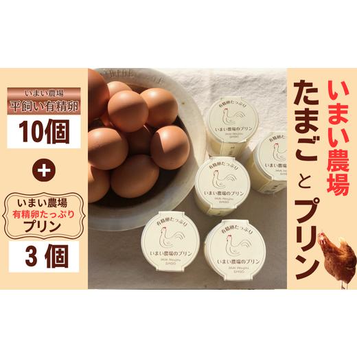 ふるさと納税 菓子 プリン 兵庫県 宍粟市 BQ2 平飼い 有精卵 10個 と プリン 3個 いまい農場 セット 国産 濃厚 卵 たまご 有精卵 デザート スイーツ スィ…