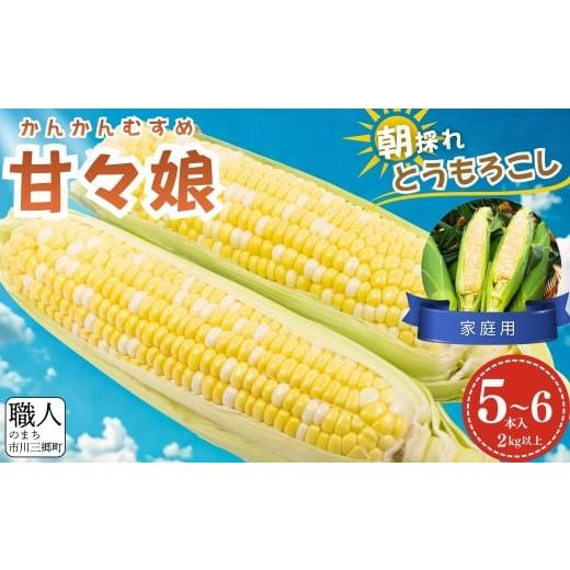 ふるさと納税 とうもろこし 山梨県 市川三郷町 極甘フルーツとうもろこし「甘々娘(かんかんむすめ)」 わけありスイート 5〜6本入り 2026年6月中旬から発送 …