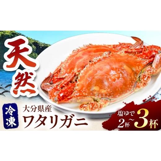 ふるさと納税 カニ 大分県 中津市 期間・数量限定 小祝漁港特産 天然ワタリガニ 雌 卵なし 塩ゆで 冷凍 2〜3杯 活き締 | 魚介 海鮮 甲殻類 蟹 かに カニ 大分…