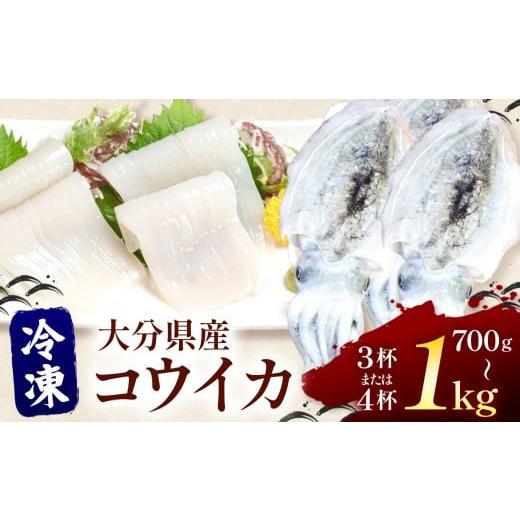 ふるさと納税 イカ 大分県 中津市 冷凍 コウイカ 700g~1kg ( 3〜4杯 ) | いか イカ 冷凍コウイカ 刺身用 煮物用 炒め物 ぷりぷり食感 海鮮 海産物 九州産 大分…