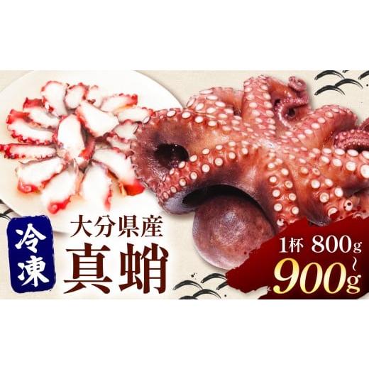 ふるさと納税 タコ 大分県 中津市 冷凍 真蛸 800〜900g ( 1杯 ) | 冷凍ボイル真蛸 真蛸1杯 特大タコ 蛸 タコ たこ 大分県産 九州産 大分県 中津市 国産 冷凍 …