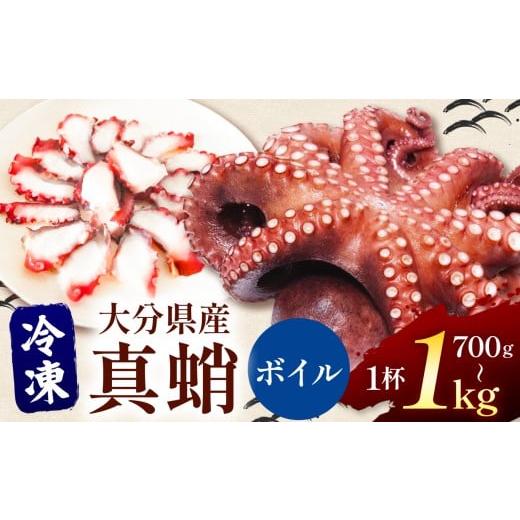 ふるさと納税 タコ 大分県 中津市 冷凍 ボイル 真蛸 700g~1kg ( 1杯 ) | 冷凍ボイル真蛸 真蛸 ボイルたこ 特大タコ 蛸 タコ たこ 大分県産 九州産 大分県 中津…