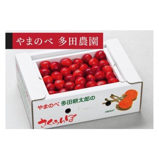 ふるさと納税 果物類 さくらんぼ 山形県 中山町 先行予約 山形美人 バラ詰 L〜2L 500g やまのべ多田耕太郎のさくらんぼ 多田農園