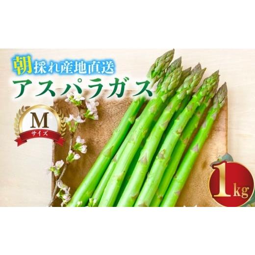 ふるさと納税 野菜類 アスパラガス 新潟県 新発田市 先行予約 朝採り アスパラガス Mサイズ 1kg 令和8年産 アスパラ 甘い 太い 柔らかい 特産品 野菜 春野菜 …