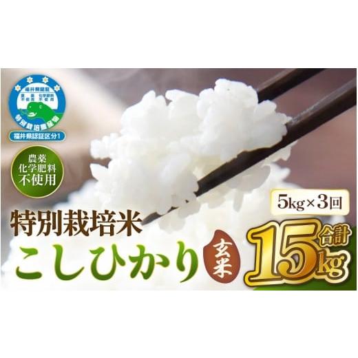ふるさと納税 米 コシヒカリ 福井県 越前町  定期便 3ヶ月連続お届け 令和7年産 特別栽培米コシヒカリ5kg × 3回（合計15kg） 玄米 農薬不使用米 福井県認証区…の画像