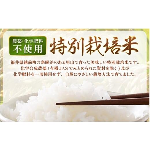 ふるさと納税 米 コシヒカリ 福井県 越前町  定期便 3ヶ月連続お届け 令和7年産 特別栽培米コシヒカリ5kg × 3回（合計15kg） 玄米 農薬不使用米 福井県認証区…の画像