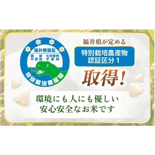 ふるさと納税 米 コシヒカリ 福井県 越前町  定期便 3ヶ月連続お届け 令和7年産 特別栽培米コシヒカリ5kg × 3回（合計15kg） 玄米 農薬不使用米 福井県認証区…の画像