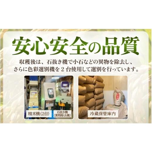 ふるさと納税 米 コシヒカリ 福井県 越前町  定期便 3ヶ月連続お届け 令和7年産 特別栽培米コシヒカリ5kg × 3回（合計15kg） 玄米 農薬不使用米 福井県認証区…の画像