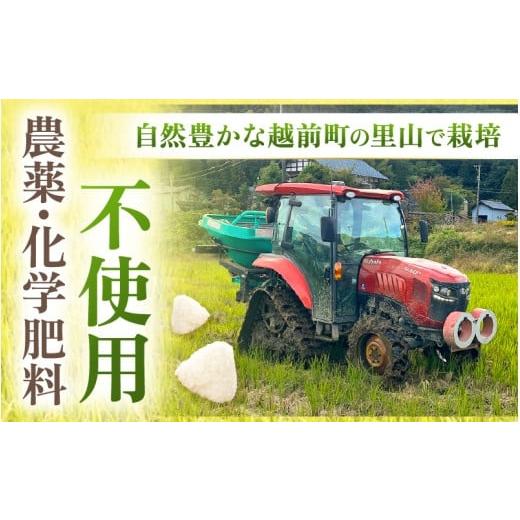 ふるさと納税 米 コシヒカリ 福井県 越前町  定期便 3ヶ月連続お届け 令和7年産 特別栽培米コシヒカリ5kg × 3回（合計15kg） 玄米 農薬不使用米 福井県認証区…の画像