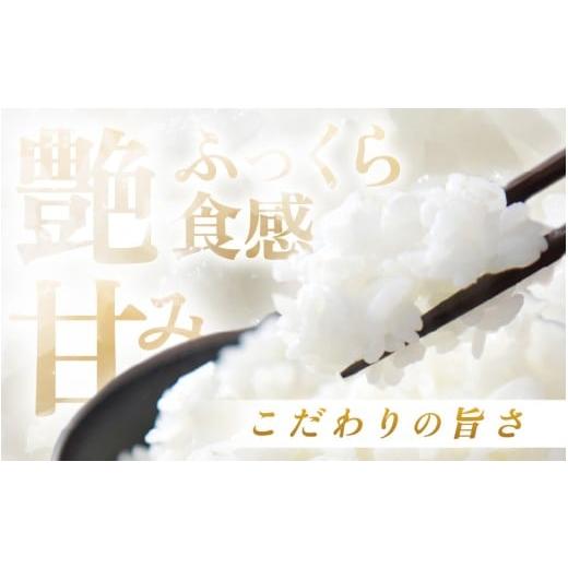 ふるさと納税 米 コシヒカリ 福井県 越前町  定期便 3ヶ月連続お届け 令和7年産 特別栽培米コシヒカリ5kg × 3回（合計15kg） 玄米 農薬不使用米 福井県認証区…の画像