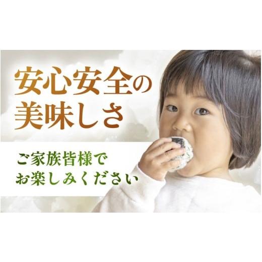 ふるさと納税 米 コシヒカリ 福井県 越前町  定期便 3ヶ月連続お届け 令和7年産 特別栽培米コシヒカリ5kg × 3回（合計15kg） 玄米 農薬不使用米 福井県認証区…の画像