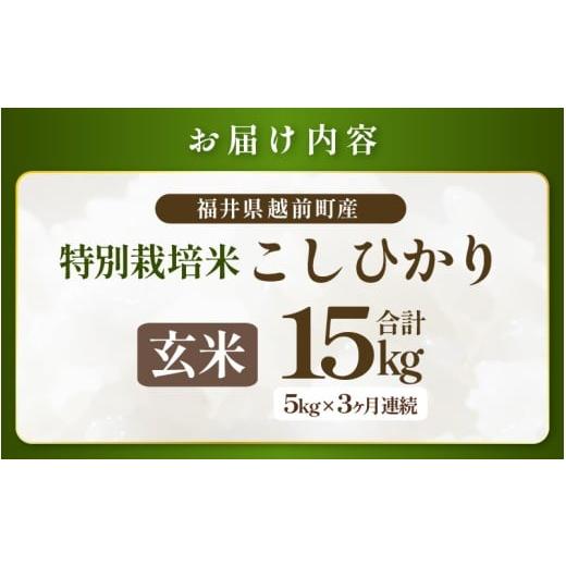 ふるさと納税 米 コシヒカリ 福井県 越前町  定期便 3ヶ月連続お届け 令和7年産 特別栽培米コシヒカリ5kg × 3回（合計15kg） 玄米 農薬不使用米 福井県認証区…の画像