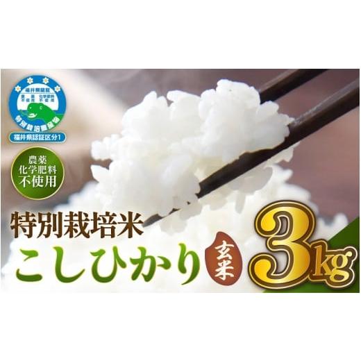 ふるさと納税 玄米 福井県 越前町 令和7年産 特別栽培米コシヒカリ3kg 無農薬米 福井県認証区分1取得 越前町 白米 3キロ お米 コメ 農薬化学肥料不使用 送料…
