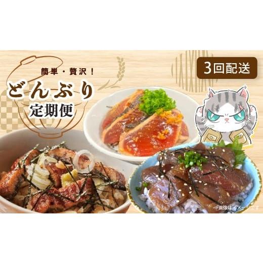 ふるさと納税 カツオ 高知県 四万十市 3回定期便 ご飯にのせて 贅沢 どんぶり 定期便 3回 毎月届く 鰹 かつお カツオのたたき 鰻 ウナギ マグロ キハダマグロ…