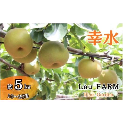 ふるさと納税 梨 千葉県 白井市 2026年夏収穫分 梨 幸水 約5kg 10〜20玉 農家直送 千葉県白井市 先行予約受付 ラファーム梨園