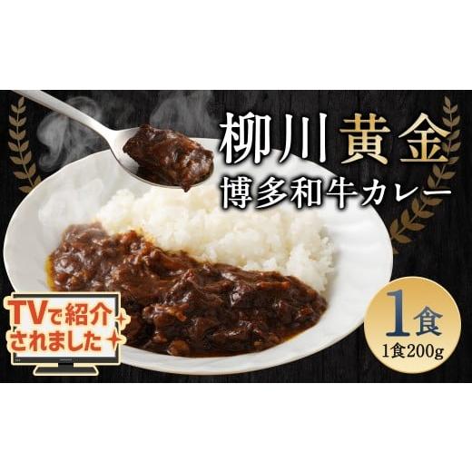 ふるさと納税 惣菜・レトルト 冷凍 福岡県 柳川市 柳川黄金博多和牛カレー 1食分(200g) TVで話題 柳川 黄金 博多 和牛 カレー お肉 肉 牛肉 カレーライス ル…