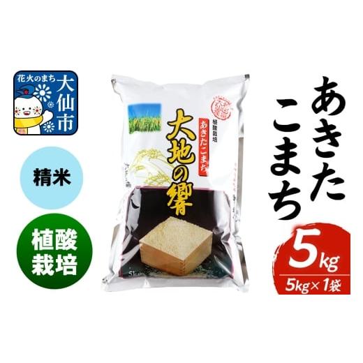 ふるさと納税 米 あきたこまち 秋田県 大仙市 米 植酸栽培 あきたこまち「大地の響」5kg(5kg×1袋) 精米 令和7年産 秋山商店