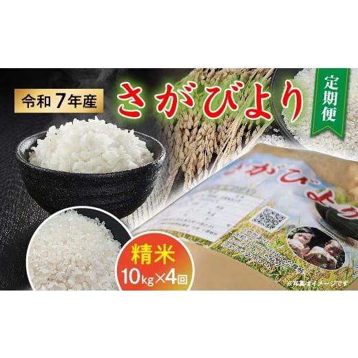 ふるさと納税 米 さがびより 佐賀県 多久市 令和7年産 さがびより 精米 定期便 10kg×4回 数量限定 _f-93