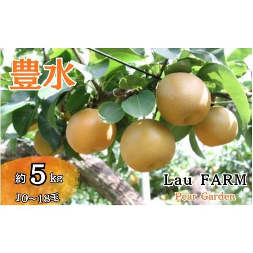 ふるさと納税 梨 千葉県 白井市 2026年秋収穫分 梨 豊水 約5kg 10〜18玉 農家直送 千葉県白井市 先行予約受付 LauFARM(ラファーム)