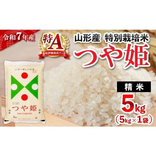 ふるさと納税 米 つや姫 山形県 山形市 4月発送 令和7年産 山形産 特別栽培米 つや姫(白米) 5kg FY25-450 4月発送