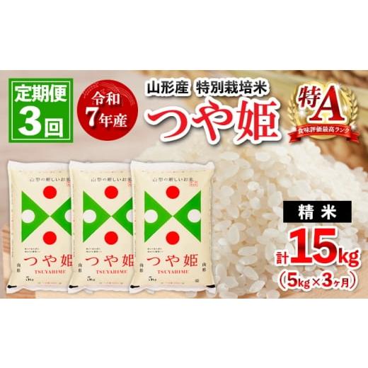 ふるさと納税 米 つや姫 山形県 山形市 2月発送開始 定期便3回 令和7年産 山形産 特別栽培米 つや姫 5kg×3ヶ月(計15kg) FY25-447 2月発送
