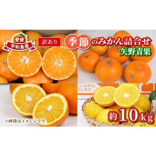 ふるさと納税 果物類 みかん 愛媛県 宇和島市 訳あり 季節 の みかん 詰合せ 10kg 矢野青果 フルーツ 詰め合わせ セット 柑橘 ミカン 蜜柑 mikan 果物 くだも…