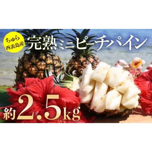ふるさと納税 果物類 沖縄県 竹富町 2026年 先行予約ミニピーチパイン 約2.5kg 5〜7玉ちゅら西表島産 完熟 パイン 果物 フルーツ パイナップル