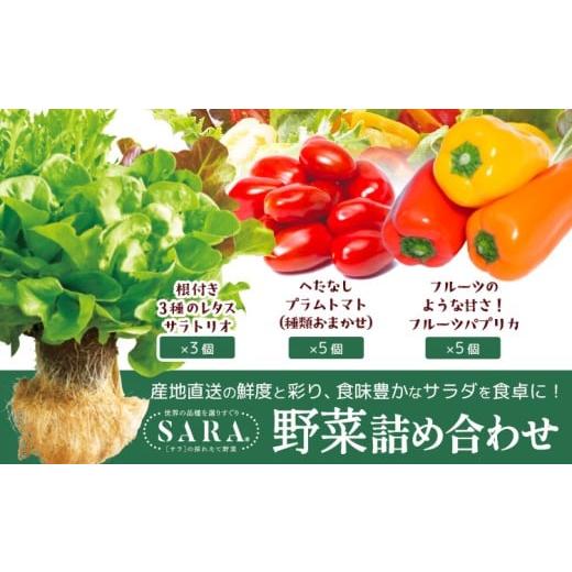 ふるさと納税 セット・詰合せ 岡山県 笠岡市 サラ詰め合わせセット 野菜13個 サラトリオ 3個 プラムトマト 5個 フルーツパプリカ 5個 野菜 レタス 3種のレタス…