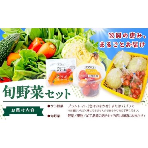 ふるさと納税 セット・詰合せ 岡山県 笠岡市 サラ商品とふるさとフレッシュ便 旬野菜セット 野菜 果物 プラムトマト パプリカ [30日以内に出荷予定(土日祝を…