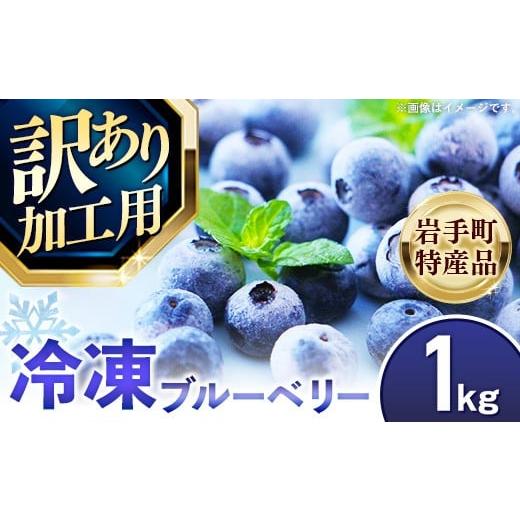 ふるさと納税 果物類 岩手県 岩手町 訳あり加工用 岩手町産冷凍ブルーベリー1kg フルーツ 果物 くだもの おやつ スイーツ デザート ジャム スムージー ヨーグ…