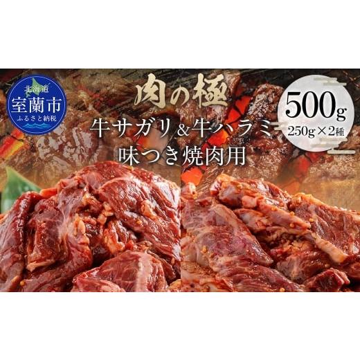 ふるさと納税 牛肉 焼肉・バーベキュー 北海道 室蘭市 牛サガリ味付き焼き肉用と牛ハラミ味付焼き肉用セット 500g(各250g×1) ふるさと納税 人気 おすすめ …