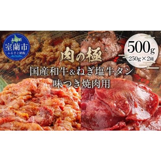 ふるさと納税 牛肉 焼肉・バーベキュー 北海道 室蘭市 国産和牛味付き焼き肉用とねぎ塩牛タン味付き焼き肉用セット 500g(各250g×1) ふるさと納税 人気 おす…