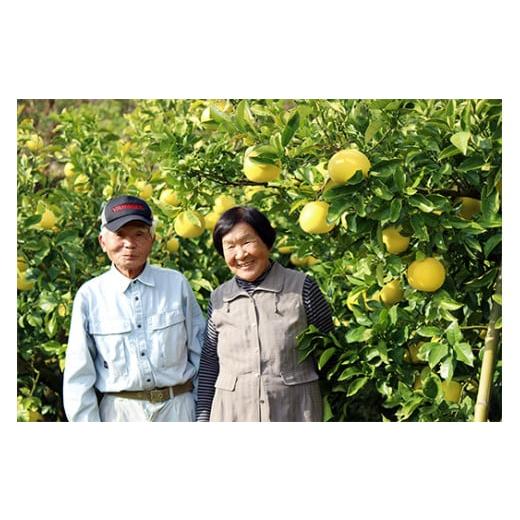 ふるさと納税 果物類 柿 高知県 宿毛市 先行予約 土佐文旦 約5kg 家庭用 L~5L 家庭用 約5kg L ~ 5L (9,000円)