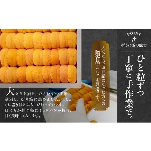 ふるさと納税 ウニ 北海道 浜中町 プロ厳選 最高級折うに(極)宮下