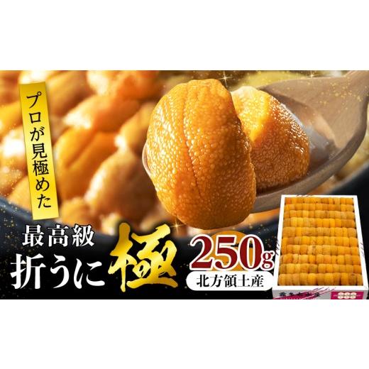 ふるさと納税 ウニ 北海道 浜中町 プロ厳選 最高級折うに(極)計250g うに ウニ 雲丹 折うに 海鮮 海産物 北海道 浜中町 ふるさと納税 人気_H0014-100 計250g(…