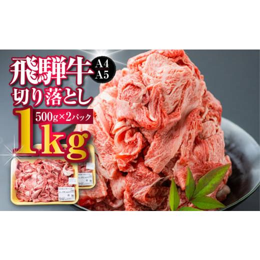 ふるさと納税 牛肉 岐阜県 飛騨市 通常規格 飛騨市産 厳選 飛騨牛 切り落とし 切落し A4・A5ランク 500g×2 1kg 牛肉 和牛 肉 a4 a5 牛丼 すき焼き 焼肉 カレ…
