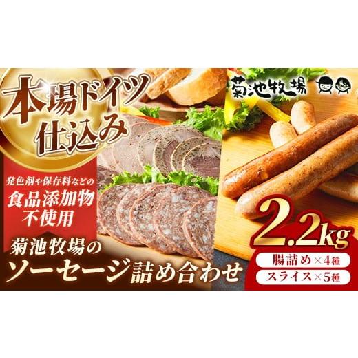 ふるさと納税 肉 ソーセージ 岩手県 岩手町 岩手町「菊池牧場のソーセージ」詰め合わせ2.2kg ソーセージ ウィンナー フランクフルト 添加物不使用 牛肉 豚肉 …