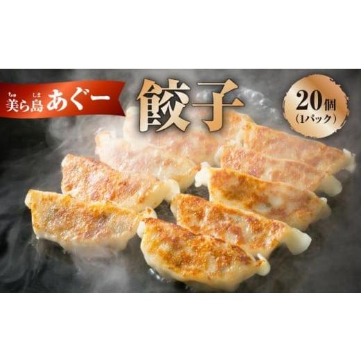 ふるさと納税 豚肉 沖縄県 南城市 美ら島あぐ〜 餃子(20個入り/1パック×20個入り) 1P入 20個