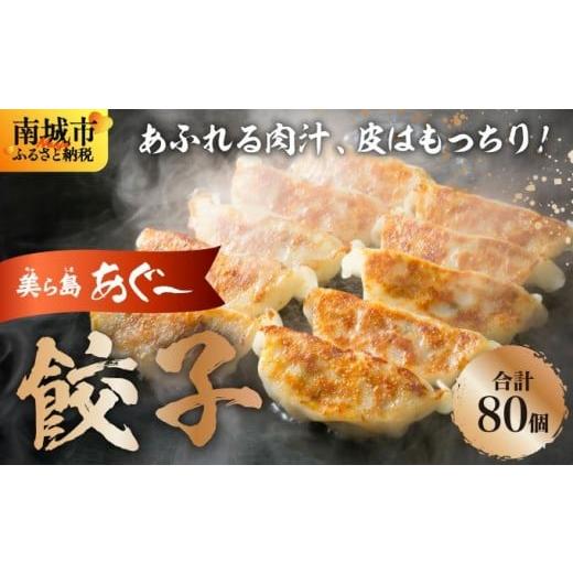 ふるさと納税 豚肉 沖縄県 南城市 美ら島あぐ〜 餃子(80個入り/4パック×20個入り) I アグー豚 あぐー豚 あぐ〜豚 豚肉 ぶた肉 ブランド豚 沖縄豚 琉球在…