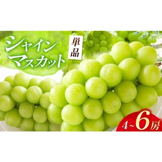 ふるさと納税 ぶどう マスカット 大分県 中津市 先行予約 シャインマスカット 4〜6房入り ( 2kg以上 ) | 数量限定 新鮮 産地直送 ぶどう ブドウ 葡萄 シャイ…