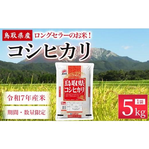 ふるさと納税 米 コシヒカリ 鳥取県 倉吉市 1月発送 数量限定 令和7年産米 鳥取県産 コシヒカリ (5kg) パールライス 令和7年産米 精米 お米 米 こめ コメ …