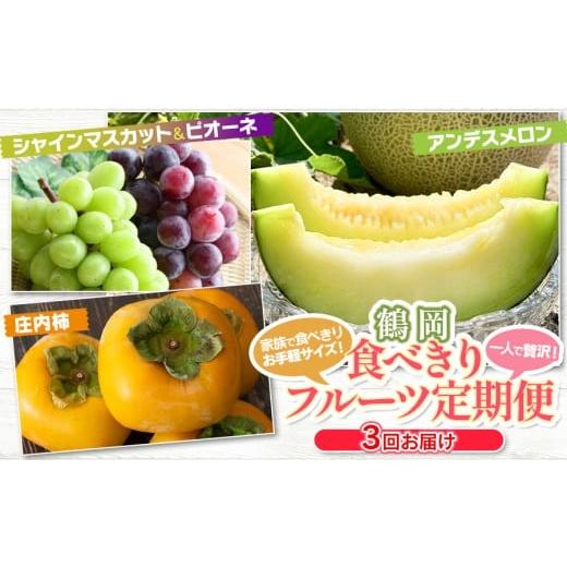ふるさと納税 果物の詰合せ 山形県 鶴岡市 令和8年産先行予約 鶴岡食べきりフルーツ定期便(3回お届け) 庄内砂丘メロン・シャインマスカット&ピオーネ・庄…