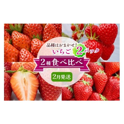 ふるさと納税 いちご 奈良県 香芝市 いちご 2種 (2パック) 食べ比べセット 2月発送 品種はおまかせ |苺 イチゴ 果物 フルーツ 産地直送 3227 2月に発送