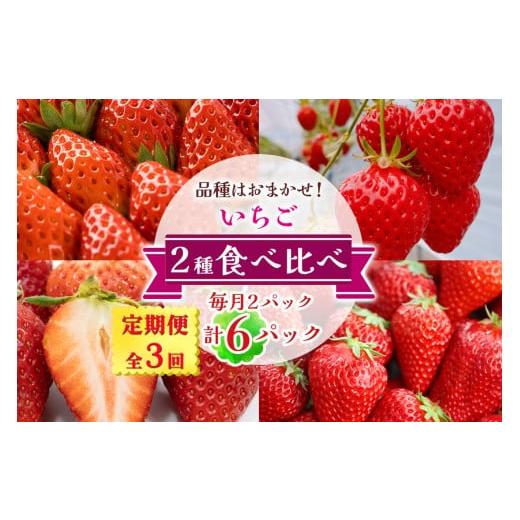 ふるさと納税 いちご 奈良県 香芝市 定期便/全3回 いちご 2種 (2パック) 食べ比べセット 毎月お届け 1月から3月発送|苺 イチゴ 果物 フルーツ 産地直送 323…