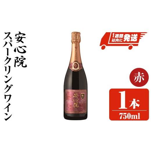 ふるさと納税 ワイン スパークリングワイン 大分県 宇佐市 安心院スパークリングワイン赤(計750ml)酒 お酒 ワイン 赤ワイン スパークリングワイン ぶどう 葡萄…