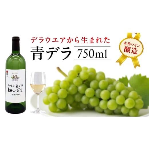 ふるさと納税 ワイン 白ワイン 茨城県 牛久市 青デラ 750ml ワイン 白ワイン 白 酒 牛久シャトー デラウエア