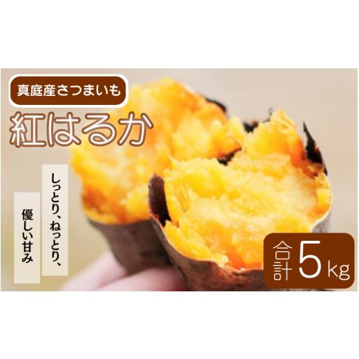 ふるさと納税 野菜類 サツマイモ 岡山県 真庭市  2026年先行予約 蒜山の柴田さん家の紅はるか 5kg ／ さつまいも 紅はるか 岡山県 真庭市 蒜山 sbta002-01_1