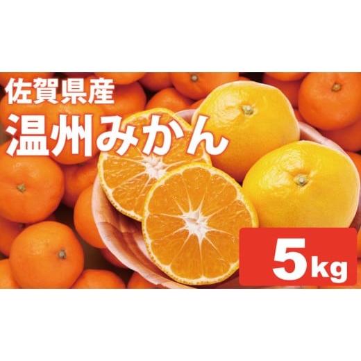 ふるさと納税 果物類 みかん 佐賀県 小城市 先行予約 佐賀県産 みかん(5kg) 潮風ファーム 大津 みかん 柑橘 温州みかん